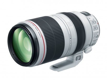 Canon 100-400mm f/4.5-5.6L II Lens