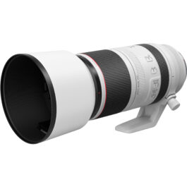 Canon RF 100-500mm f4.5-7.1L IS USM Lens Hire